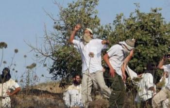 المستوطنون أغلقوا الطرييق بين جنين ونابلس