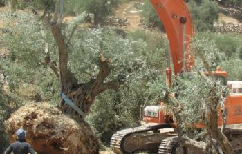 صورة ارشيفية