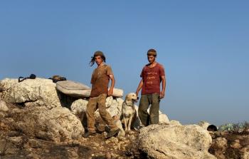 صورة أرشيفية