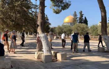 جانب من اقتحامات المستوطنين للمسجد الأقصى