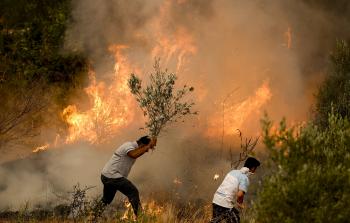 صورة أرشيفية