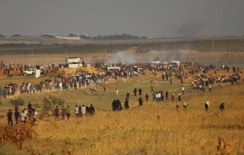 تصوير/ محمود أبو حصيرة
