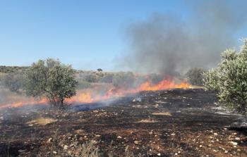 صورة ارشيفية