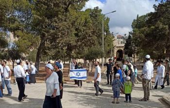 مستوطن يرفع علم الاحتلال خلال اقتحامه المسجد الأقصى - الأناضول