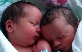 أطفال أنابيب (أرشيف)