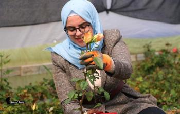 بيسان أبو هواش (أرشيف)