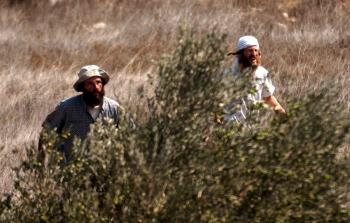 صورة ارشيفية