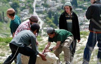 مستوطنون ينتهكون حرمة الأراضي الفلسطينية (أرشيف)