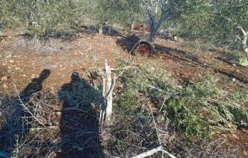 اعتداءات المستوطنين- سلفيت