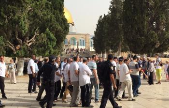 صورة أرشيفية