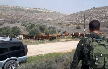 اعتداءات مستوطنين