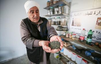 بنك البذور - أناضول