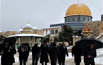 صورة أرشيفية