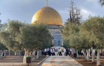 صورة أرشيفية