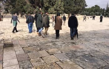 صورة أرشيفية