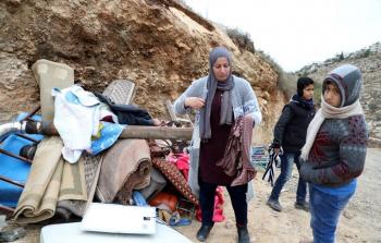 عائلة النيص