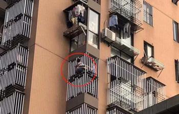 صورة توضيحية