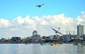 ميناء غزة (أرشيف)