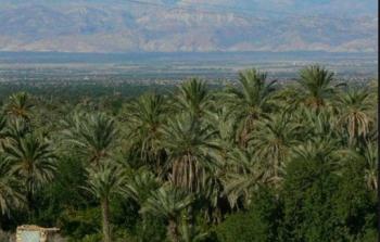 مدينة أريحا (أرشيف)