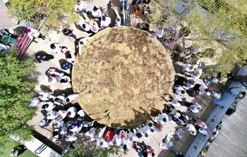 طبق المجدرة