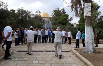 قطعان المستوطنين داخل باحات 