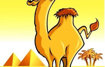 صورة تعبيرية