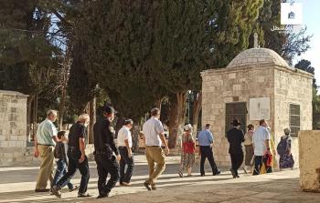مستوطنون يقتحمون باحات الأقصى المبارك (أرشيف)