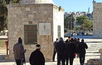 مستوطنون يقتحمون باحات الأقصى المبارك (أرشيف)