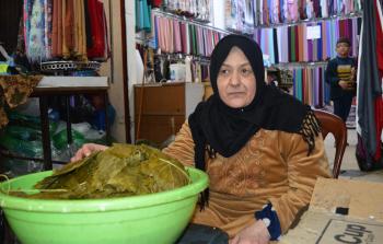 فاطمة عبدالعال  (أرشيف)