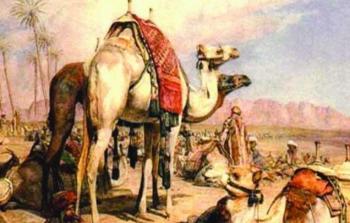 قصص ونوادر - أرشيف