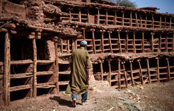 صورة لخلايا النحل المهجورة في المغرب (وكالات)