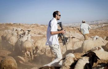 الاستيطان الرعوي (أرشيف)