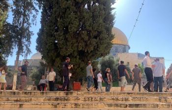 اقتحام المسجد الأقصى المبارك (أرشيف)