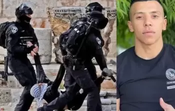 الشهيد وليد الشريف - أرشيف