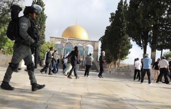 صورة أرشيفية