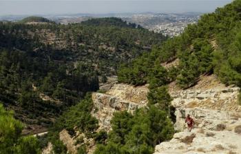 محمية طبيعية في الداخل المحتل