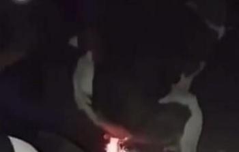 مشهد أولي من عملية حرق سعودي لكلب