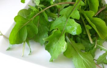 فوائد واسعة لنبات الجرجير