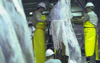 مسلخ بلدية غزة