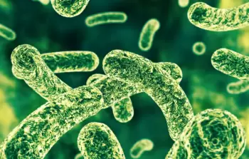 بكتيريا الأمعاء (آيستوك)