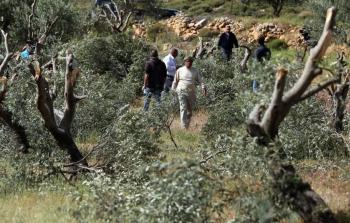 صورة أرشيفية