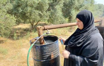 المهندسة آمنة العفيفي