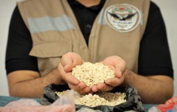 مكافحة المخدرات تعرض المضبوطات من الحبة المخدرة