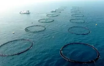 الأقفاص البحرية- أرشيف