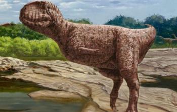 شكل تخيلي لديناصور هابيل المصري.jpg