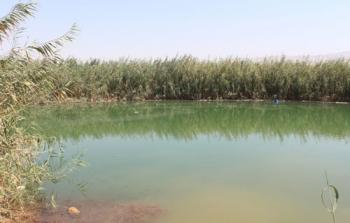 عين ماء في الأغوار - أرشيف