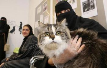 بيتويا هو أول منتجع وفندق معتمد للحيوانات الأليفة في الرياض