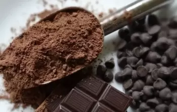 بودرة وحبوب الكاكاو 