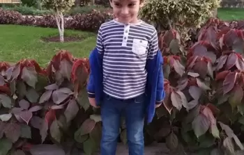 الطفل نوح