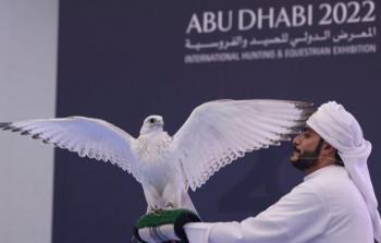 عارض في معرض أبو ظبي للصيد والفروسية يعرض الصقر بيور جير للبيع